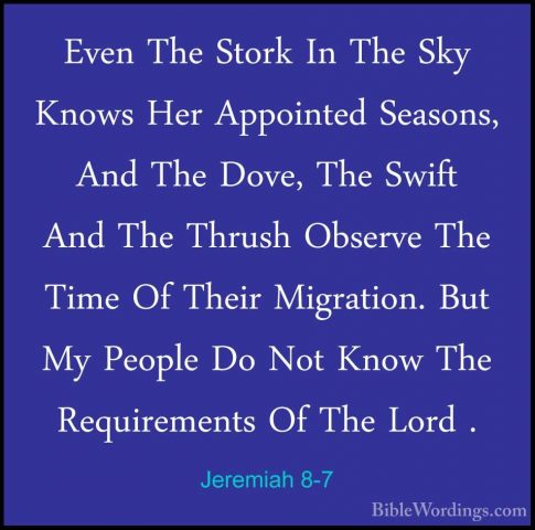 Jeremiah 8-7 - Even The Stork In The Sky Knows Her Appointed SeasEven The Stork In The Sky Knows Her Appointed Seasons, And The Dove, The Swift And The Thrush Observe The Time Of Their Migration. But My People Do Not Know The Requirements Of The Lord . 