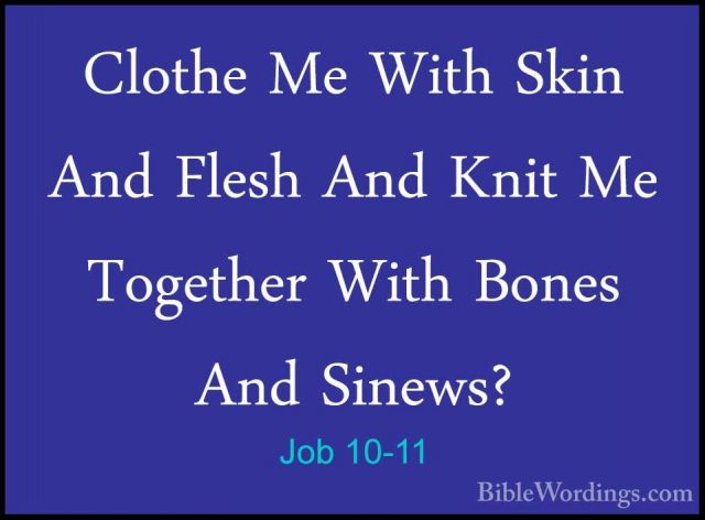 Job 10-11 - Clothe Me With Skin And Flesh And Knit Me Together WiClothe Me With Skin And Flesh And Knit Me Together With Bones And Sinews? 