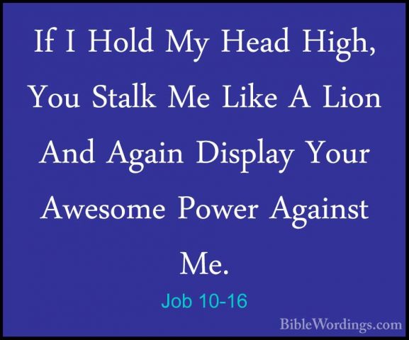 Job 10-16 - If I Hold My Head High, You Stalk Me Like A Lion AndIf I Hold My Head High, You Stalk Me Like A Lion And Again Display Your Awesome Power Against Me. 