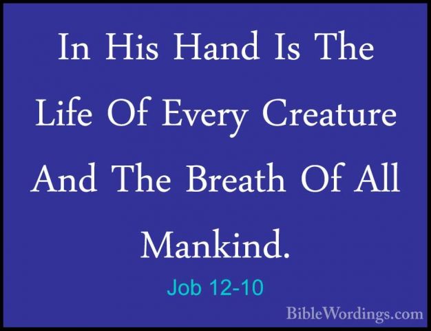 Job 12-10 - In His Hand Is The Life Of Every Creature And The BreIn His Hand Is The Life Of Every Creature And The Breath Of All Mankind. 