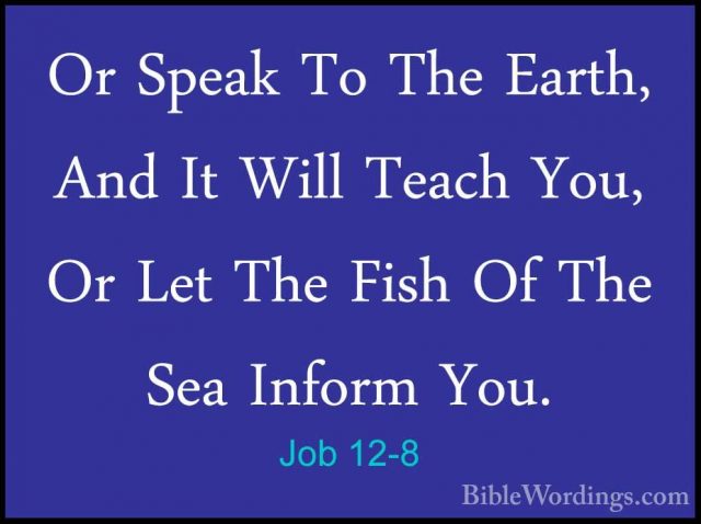 Job 12-8 - Or Speak To The Earth, And It Will Teach You, Or Let TOr Speak To The Earth, And It Will Teach You, Or Let The Fish Of The Sea Inform You. 