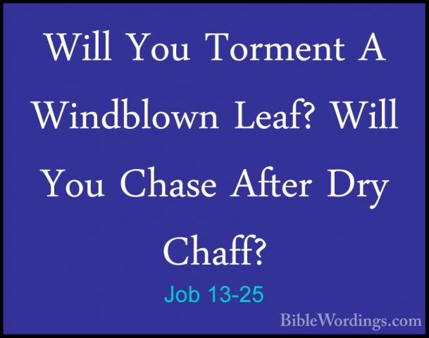 Job 13-25 - Will You Torment A Windblown Leaf? Will You Chase AftWill You Torment A Windblown Leaf? Will You Chase After Dry Chaff? 
