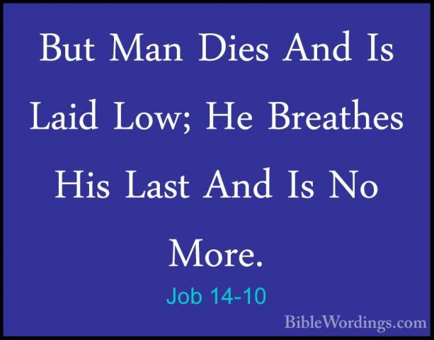Job 14-10 - But Man Dies And Is Laid Low; He Breathes His Last AnBut Man Dies And Is Laid Low; He Breathes His Last And Is No More. 