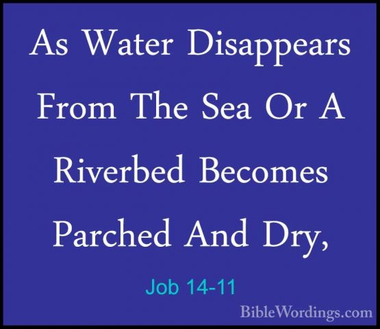Job 14-11 - As Water Disappears From The Sea Or A Riverbed BecomeAs Water Disappears From The Sea Or A Riverbed Becomes Parched And Dry, 