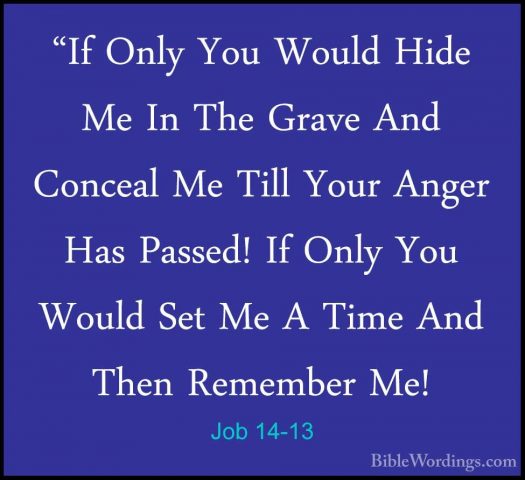 Job 14-13 - "If Only You Would Hide Me In The Grave And Conceal M"If Only You Would Hide Me In The Grave And Conceal Me Till Your Anger Has Passed! If Only You Would Set Me A Time And Then Remember Me! 