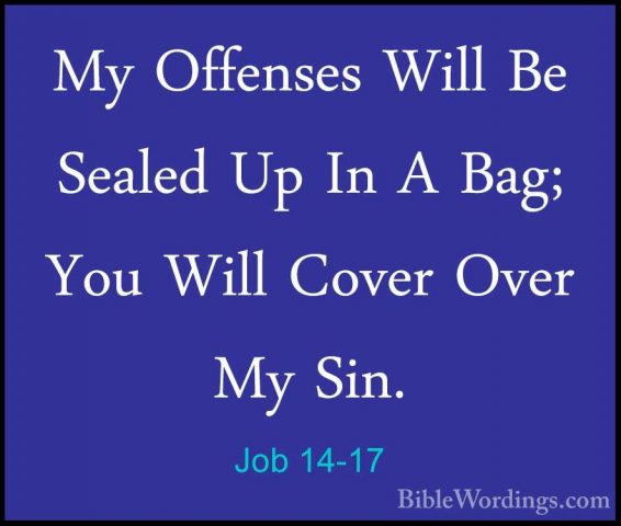 Job 14-17 - My Offenses Will Be Sealed Up In A Bag; You Will CoveMy Offenses Will Be Sealed Up In A Bag; You Will Cover Over My Sin. 