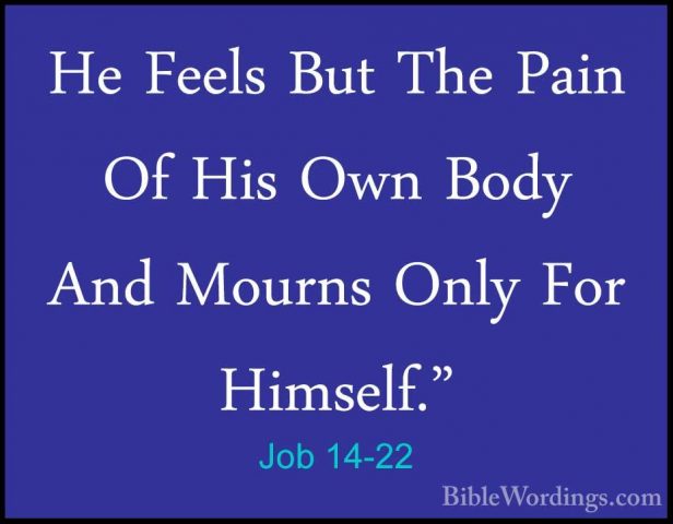 Job 14-22 - He Feels But The Pain Of His Own Body And Mourns OnlyHe Feels But The Pain Of His Own Body And Mourns Only For Himself."