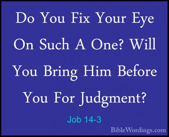 Job 14-3 - Do You Fix Your Eye On Such A One? Will You Bring HimDo You Fix Your Eye On Such A One? Will You Bring Him Before You For Judgment? 