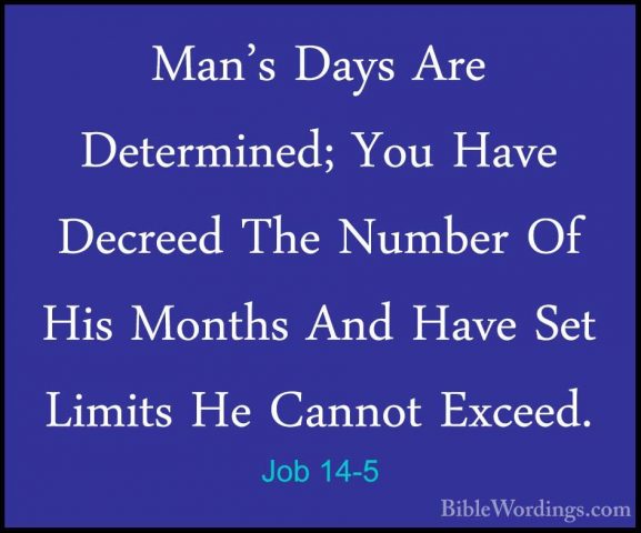 Job 14-5 - Man's Days Are Determined; You Have Decreed The NumberMan's Days Are Determined; You Have Decreed The Number Of His Months And Have Set Limits He Cannot Exceed. 