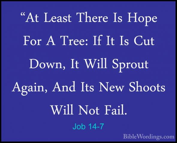 Job 14-7 - "At Least There Is Hope For A Tree: If It Is Cut Down,"At Least There Is Hope For A Tree: If It Is Cut Down, It Will Sprout Again, And Its New Shoots Will Not Fail. 