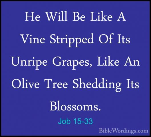 Job 15-33 - He Will Be Like A Vine Stripped Of Its Unripe Grapes,He Will Be Like A Vine Stripped Of Its Unripe Grapes, Like An Olive Tree Shedding Its Blossoms. 