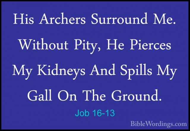 Job 16-13 - His Archers Surround Me. Without Pity, He Pierces MyHis Archers Surround Me. Without Pity, He Pierces My Kidneys And Spills My Gall On The Ground. 