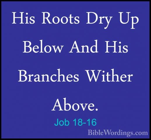 Job 18-16 - His Roots Dry Up Below And His Branches Wither Above.His Roots Dry Up Below And His Branches Wither Above. 