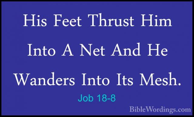 Job 18-8 - His Feet Thrust Him Into A Net And He Wanders Into ItsHis Feet Thrust Him Into A Net And He Wanders Into Its Mesh. 