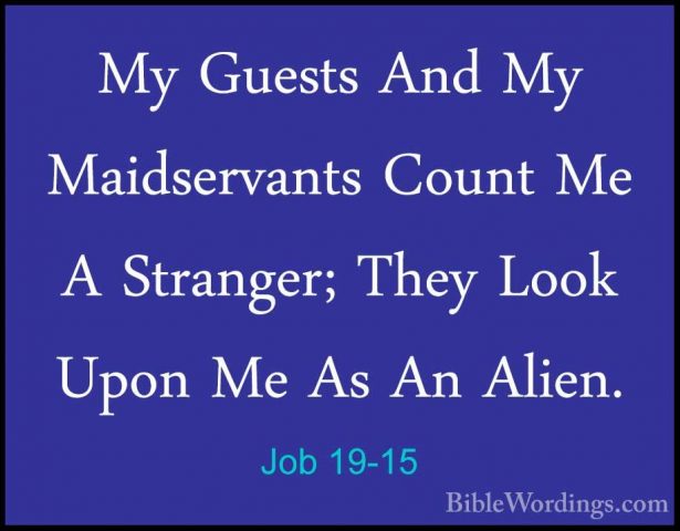 Job 19-15 - My Guests And My Maidservants Count Me A Stranger; ThMy Guests And My Maidservants Count Me A Stranger; They Look Upon Me As An Alien. 
