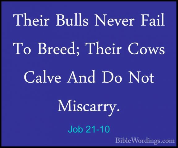 Job 21-10 - Their Bulls Never Fail To Breed; Their Cows Calve AndTheir Bulls Never Fail To Breed; Their Cows Calve And Do Not Miscarry. 