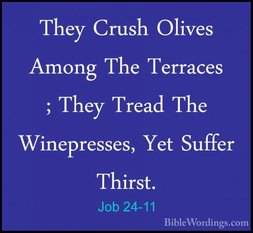 Job 24-11 - They Crush Olives Among The Terraces ; They Tread TheThey Crush Olives Among The Terraces ; They Tread The Winepresses, Yet Suffer Thirst. 