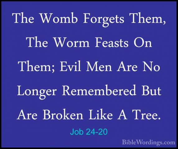 Job 24-20 - The Womb Forgets Them, The Worm Feasts On Them; EvilThe Womb Forgets Them, The Worm Feasts On Them; Evil Men Are No Longer Remembered But Are Broken Like A Tree. 