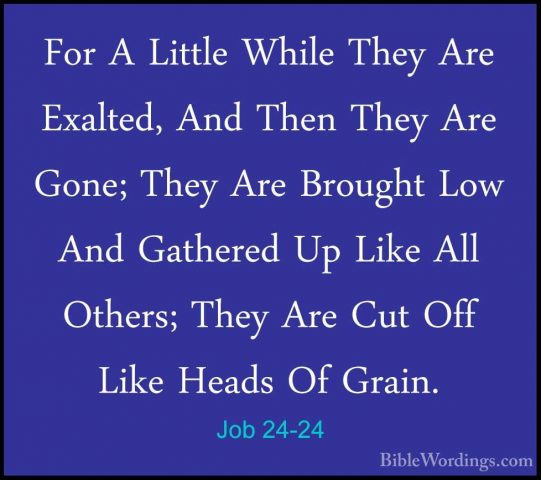 Job 24-24 - For A Little While They Are Exalted, And Then They ArFor A Little While They Are Exalted, And Then They Are Gone; They Are Brought Low And Gathered Up Like All Others; They Are Cut Off Like Heads Of Grain. 