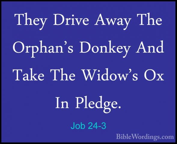Job 24-3 - They Drive Away The Orphan's Donkey And Take The WidowThey Drive Away The Orphan's Donkey And Take The Widow's Ox In Pledge. 