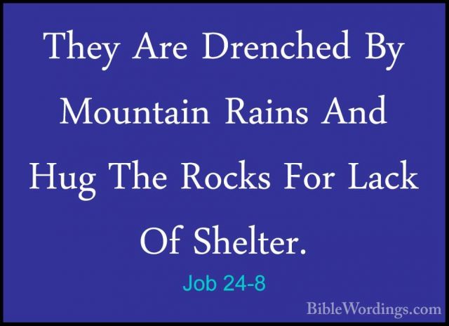 Job 24-8 - They Are Drenched By Mountain Rains And Hug The RocksThey Are Drenched By Mountain Rains And Hug The Rocks For Lack Of Shelter. 