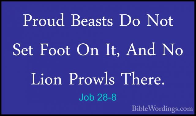Job 28-8 - Proud Beasts Do Not Set Foot On It, And No Lion ProwlsProud Beasts Do Not Set Foot On It, And No Lion Prowls There. 