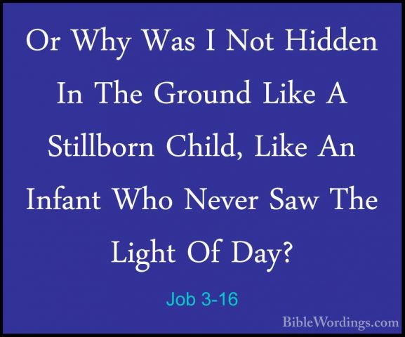 Job 3-16 - Or Why Was I Not Hidden In The Ground Like A StillbornOr Why Was I Not Hidden In The Ground Like A Stillborn Child, Like An Infant Who Never Saw The Light Of Day? 