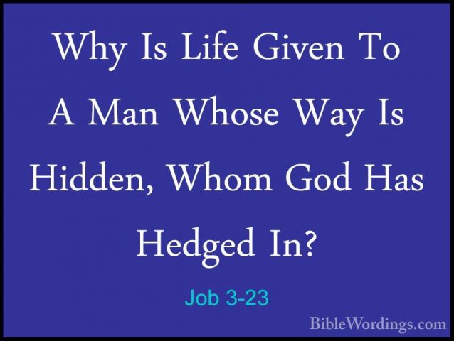 Job 3-23 - Why Is Life Given To A Man Whose Way Is Hidden, Whom GWhy Is Life Given To A Man Whose Way Is Hidden, Whom God Has Hedged In? 