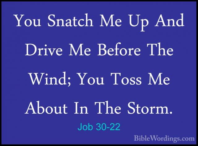 Job 30-22 - You Snatch Me Up And Drive Me Before The Wind; You ToYou Snatch Me Up And Drive Me Before The Wind; You Toss Me About In The Storm. 