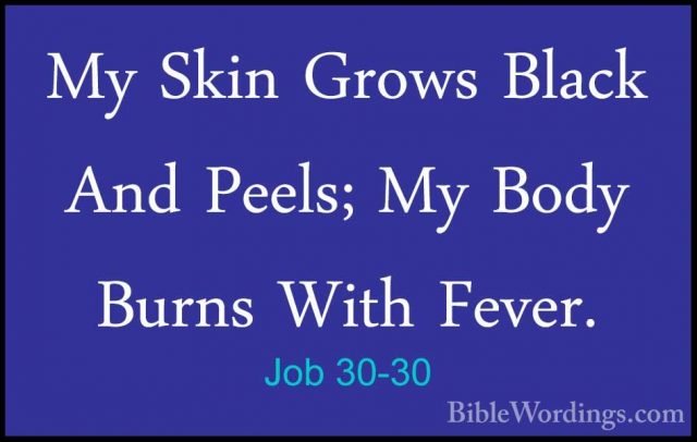 Job 30-30 - My Skin Grows Black And Peels; My Body Burns With FevMy Skin Grows Black And Peels; My Body Burns With Fever. 