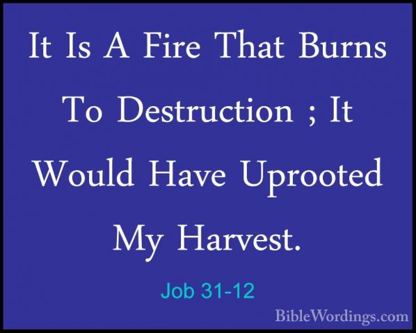 Job 31-12 - It Is A Fire That Burns To Destruction ; It Would HavIt Is A Fire That Burns To Destruction ; It Would Have Uprooted My Harvest. 