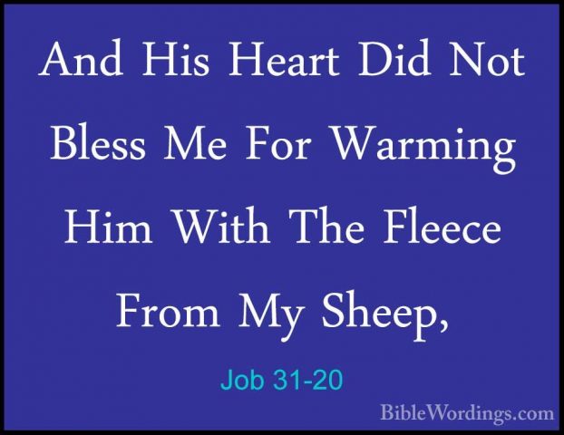 Job 31-20 - And His Heart Did Not Bless Me For Warming Him With TAnd His Heart Did Not Bless Me For Warming Him With The Fleece From My Sheep, 