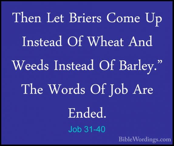 Job 31-40 - Then Let Briers Come Up Instead Of Wheat And Weeds InThen Let Briers Come Up Instead Of Wheat And Weeds Instead Of Barley." The Words Of Job Are Ended.