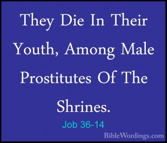 Job 36-14 - They Die In Their Youth, Among Male Prostitutes Of ThThey Die In Their Youth, Among Male Prostitutes Of The Shrines. 