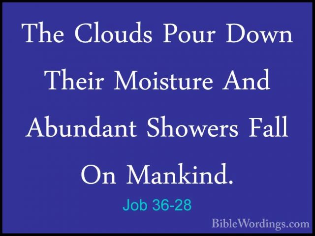 Job 36-28 - The Clouds Pour Down Their Moisture And Abundant ShowThe Clouds Pour Down Their Moisture And Abundant Showers Fall On Mankind. 