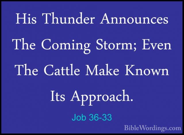 Job 36-33 - His Thunder Announces The Coming Storm; Even The CattHis Thunder Announces The Coming Storm; Even The Cattle Make Known Its Approach.
