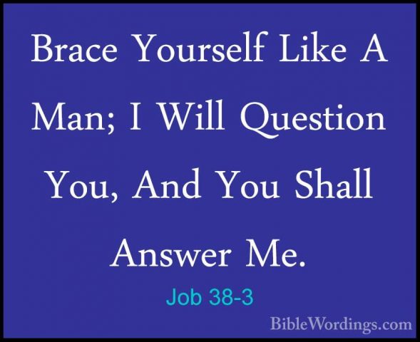 Job 38-3 - Brace Yourself Like A Man; I Will Question You, And YoBrace Yourself Like A Man; I Will Question You, And You Shall Answer Me. 