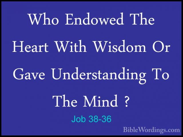 Job 38-36 - Who Endowed The Heart With Wisdom Or Gave UnderstandiWho Endowed The Heart With Wisdom Or Gave Understanding To The Mind ? 