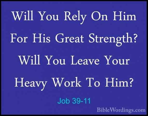 Job 39-11 - Will You Rely On Him For His Great Strength? Will YouWill You Rely On Him For His Great Strength? Will You Leave Your Heavy Work To Him? 