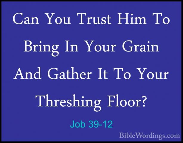 Job 39-12 - Can You Trust Him To Bring In Your Grain And Gather ICan You Trust Him To Bring In Your Grain And Gather It To Your Threshing Floor? 