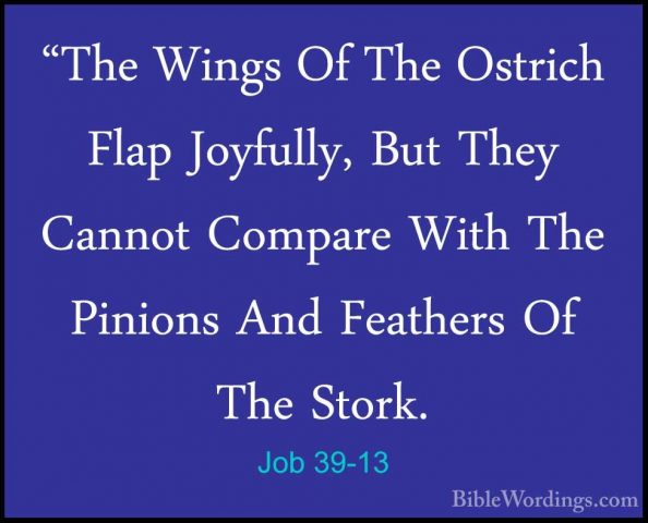 Job 39-13 - "The Wings Of The Ostrich Flap Joyfully, But They Can"The Wings Of The Ostrich Flap Joyfully, But They Cannot Compare With The Pinions And Feathers Of The Stork. 