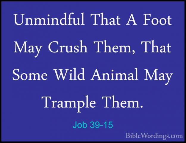 Job 39-15 - Unmindful That A Foot May Crush Them, That Some WildUnmindful That A Foot May Crush Them, That Some Wild Animal May Trample Them. 