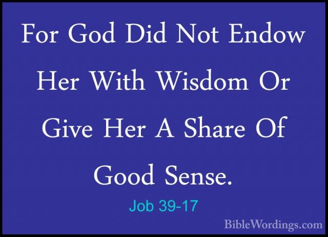 Job 39-17 - For God Did Not Endow Her With Wisdom Or Give Her A SFor God Did Not Endow Her With Wisdom Or Give Her A Share Of Good Sense. 