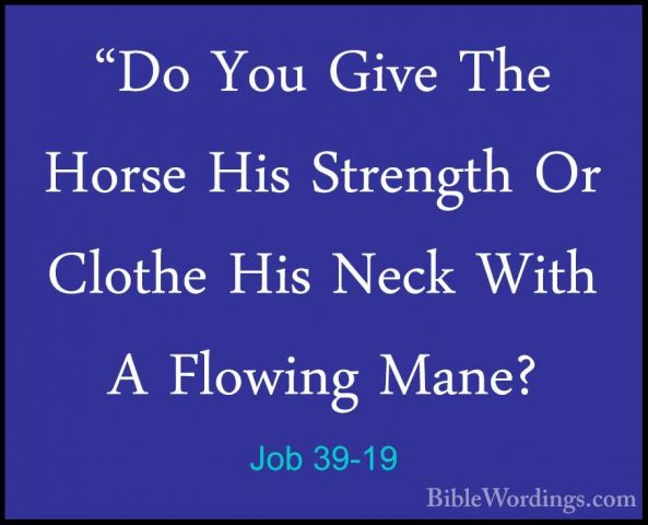 Job 39-19 - "Do You Give The Horse His Strength Or Clothe His Nec"Do You Give The Horse His Strength Or Clothe His Neck With A Flowing Mane? 