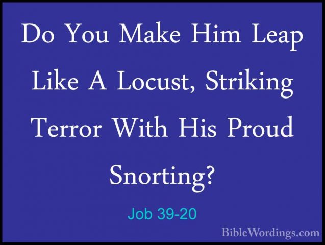 Job 39-20 - Do You Make Him Leap Like A Locust, Striking Terror WDo You Make Him Leap Like A Locust, Striking Terror With His Proud Snorting? 