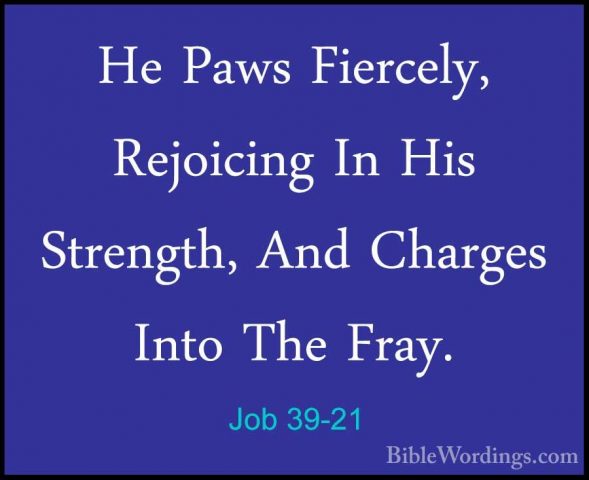 Job 39-21 - He Paws Fiercely, Rejoicing In His Strength, And CharHe Paws Fiercely, Rejoicing In His Strength, And Charges Into The Fray. 