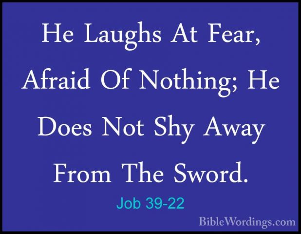 Job 39-22 - He Laughs At Fear, Afraid Of Nothing; He Does Not ShyHe Laughs At Fear, Afraid Of Nothing; He Does Not Shy Away From The Sword. 
