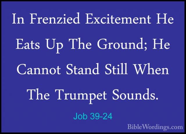 Job 39-24 - In Frenzied Excitement He Eats Up The Ground; He CannIn Frenzied Excitement He Eats Up The Ground; He Cannot Stand Still When The Trumpet Sounds. 