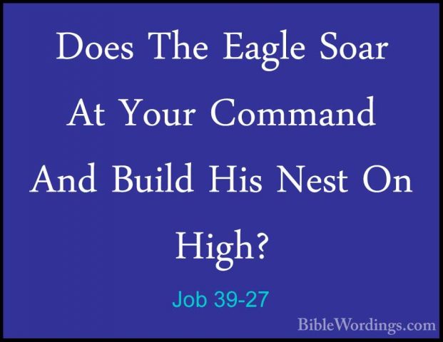 Job 39-27 - Does The Eagle Soar At Your Command And Build His NesDoes The Eagle Soar At Your Command And Build His Nest On High? 