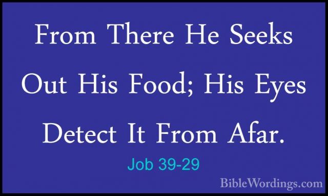 Job 39-29 - From There He Seeks Out His Food; His Eyes Detect ItFrom There He Seeks Out His Food; His Eyes Detect It From Afar. 